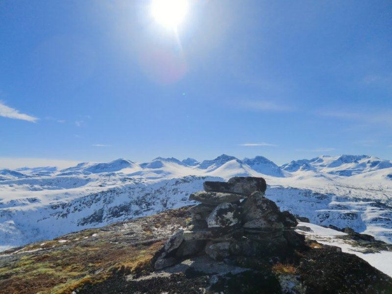 Kven blir områdeforvaltar i Trollheimen?