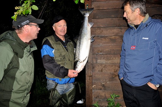 Laksefisket igang i Surna – Toåa startar 15. juni