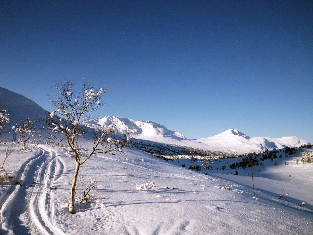 Vinterferie – fint skiføre i fjellet