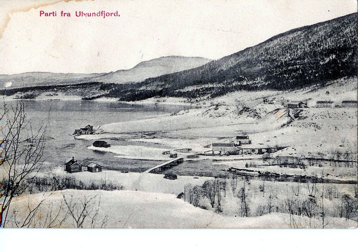 Kulturlandskapsvandring i Ålvundfjord.