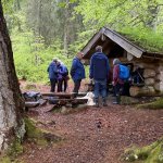 Bokeskogen2_4972