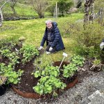 Hagebed3_2748