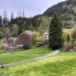 Svinviks-arboret_2763
