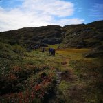 8-Foto-Mary-E-Roen-Hostfarger