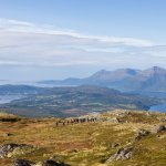10-Fin-nedtur-med-vidt-og-vakkert-utsyn