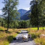 10-Triveleg-mote-i-Innerdalen