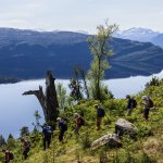 11-Ned-til-Litlvika-med-fin-utsikt-heile-turen