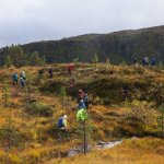 11-Omveg-ned-langs-flomstor-bekk