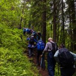 2.-Bratt-sti-opp-gjennom-frodig-skog