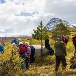 01-Kvilestein-under-Nordviksula