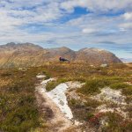 09-Lett-a-ga-oppa-fjellet
