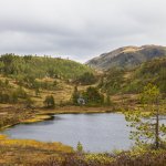 4.-Idyll-ved-Lomtjonna