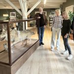 TingvollUlven_3077