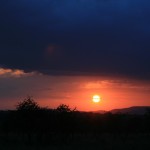 Solnedgang over Serengeti