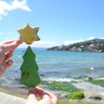 Jul på New Zealand