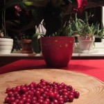 Tyttebær plukka litlj-jul-kvelden 2014