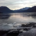 Islagt fjord