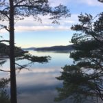 Blå himmel og stille fjord