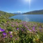 Sommer ved Tverråbotnvatnet