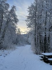 Vinter i Toåa tursti