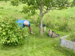 Gudmund og katt