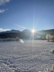 Så kom sola fram igjen☀️