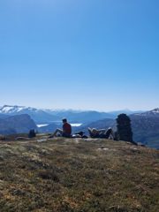Rast på Svarrafjellet
