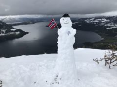 17.Mai -2020