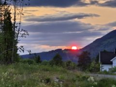 Solnedgang