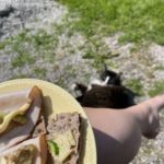 Lunsj med overvaking