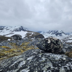 Flyttblokker på Storfjellet