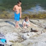 Grilla marshmallows er godt ein sommardag