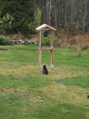 Prøver å fikse dagens middag.