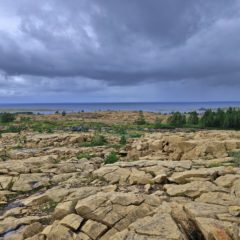 Vakre Leka med sin gule serpentinitt og olivinstein